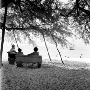 Gezelschap op Palm Beach op Aruba, Bestanddeelnr 252-3403