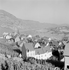 Gezicht op Ürzig en de wijngaard Ürziger Würzgarten, Bestanddeelnr 254-4101