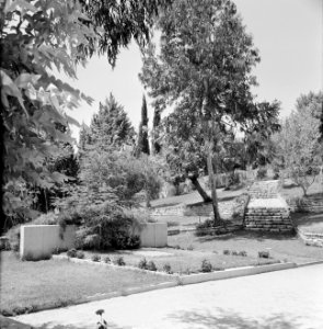 Gezicht op de begraafplaats te Rehovot waar Chaim Weizmann begraven is, Bestanddeelnr 255-3918