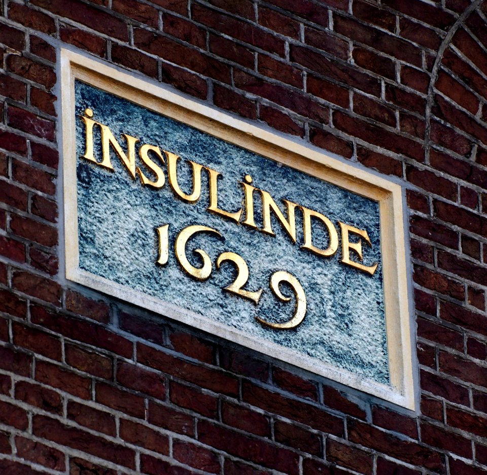Gevelsteen op Prinseneiland, Insulinde 1629