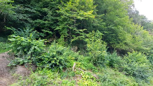 Geulhem-Ravensgroeve I (5)
