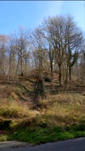 Geulhem-kiezelbaan (8)