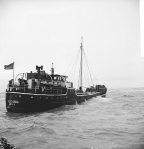 Gestrande Engelse coaster Gladonia bij Hoek van Holland, Bestanddeelnr 913-4389