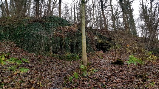Geulhem-Groeve het Paradijsbergske III (5)