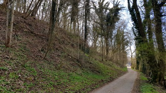 Geulhem-Groeve het Paradijsbergske III (7)