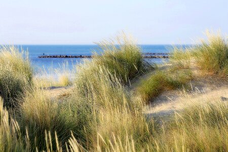 Mediterranean sea nature beach