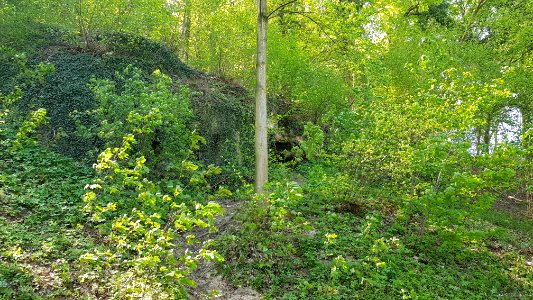 Geulhem-Groeve het Paradijsbergske III (8)