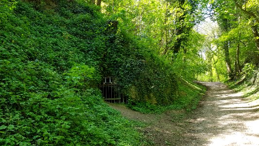 Geulhem-Musschenputgroeve (3)