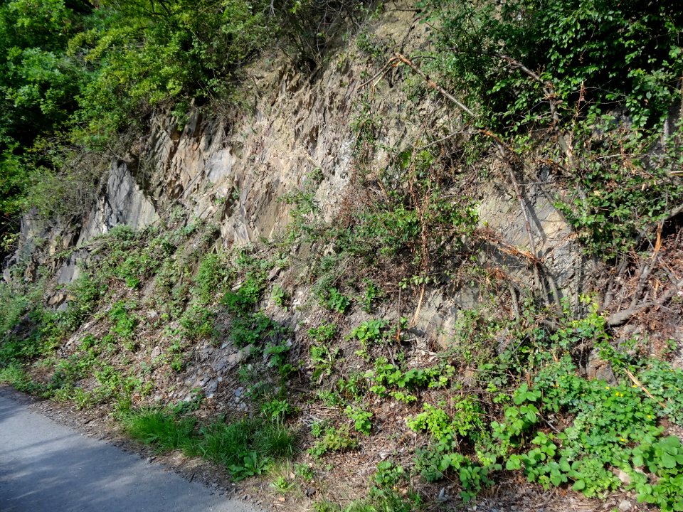 Gesteinsschichten bei Breternitz, Kaulsdorf