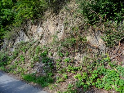 Gesteinsschichten bei Breternitz, Kaulsdorf