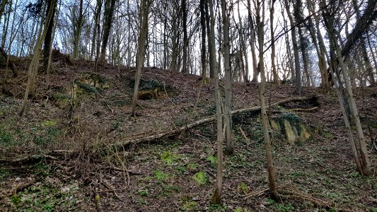 Geulhem-Groeve het Paradijsbergske IIa (5)
