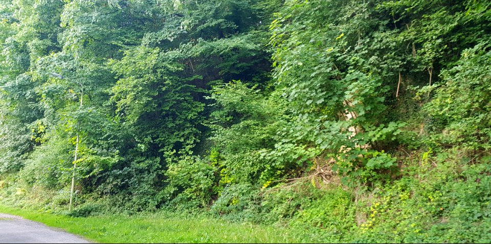Geulhem-Groeve het Paradijsbergske Ia (5)