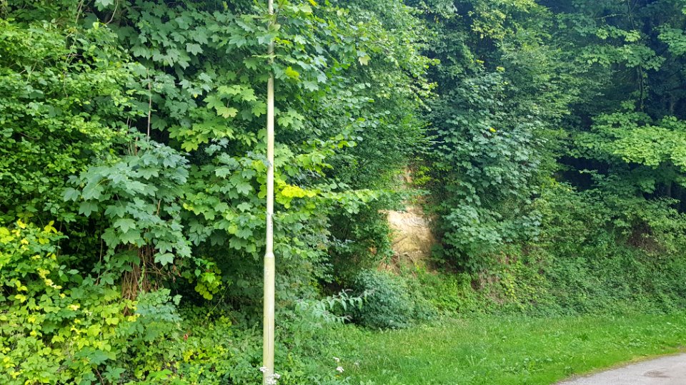 Geulhem-Groeve het Paradijsbergske Ia (8)