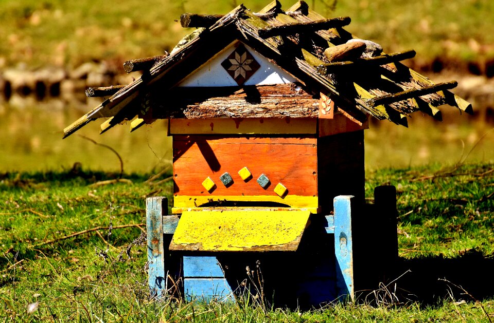 Wood colorful wildpark poing