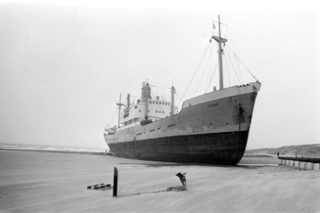Gestrande Stardust bij s-Gravenzande de Stardust op het strand, Bestanddeelnr 928-3530