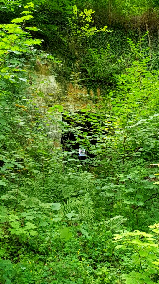 Geulhem-Groeve het Paradijsbergske I (4)