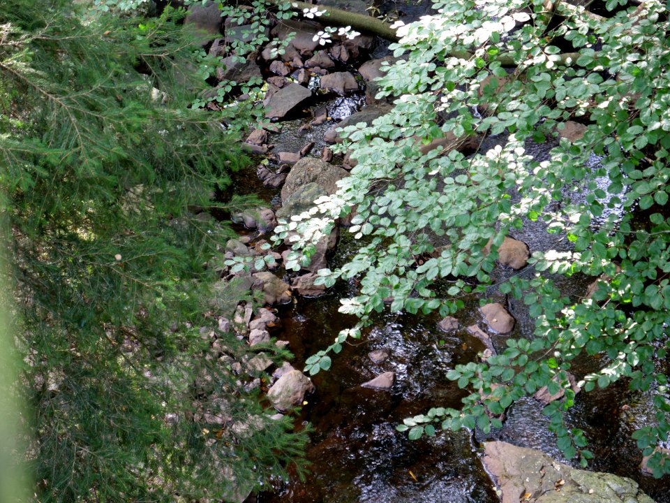 Getzbach near Wesertalsperre 01