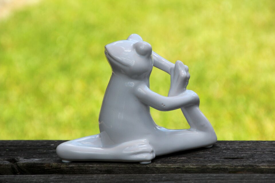 Yoga frog gymnastics