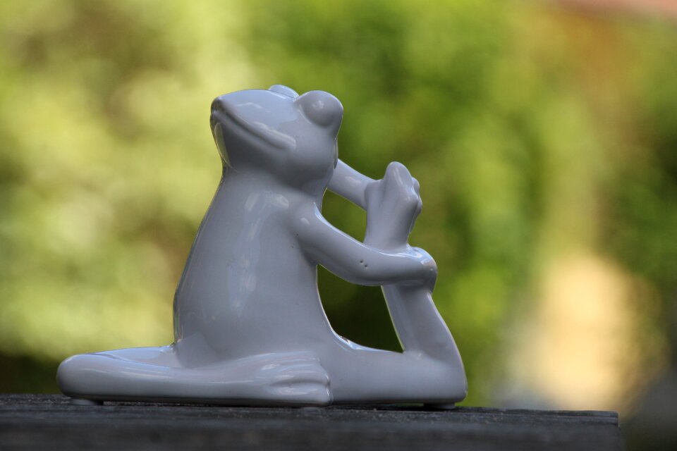Yoga frog gymnastics