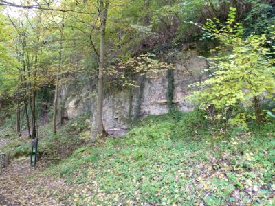 Geulhem-Geologisch monument Zuidelijke Dalwand Geul (1)