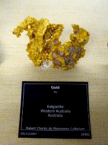 Gold, Kalgoorlie, Western Australia - University of Arizona Mineral Museum - University of Arizona - Tucson, AZ - DSC08550 photo