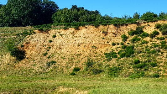 Geulhem-Curfsgroeve (34)