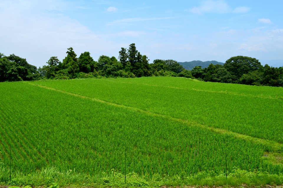 Gokurakuji Hibiki Ruins