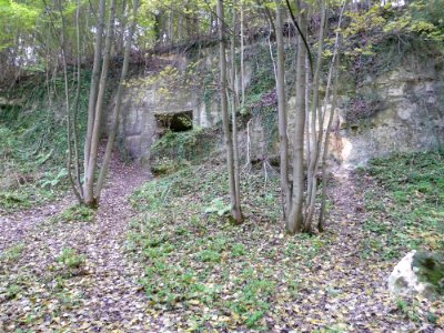 Geulhem-Geologisch monument Zuidelijke Dalwand Geul (3)