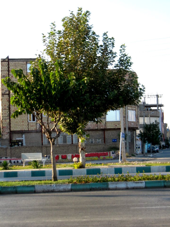 Gol ha blv - Nishapur 6