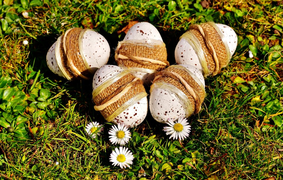 Meadow spring happy easter