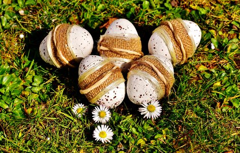 Meadow spring happy easter