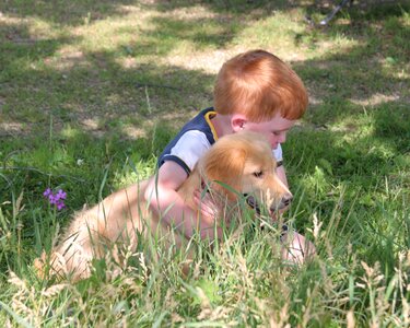 Pet love dog