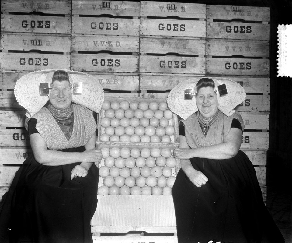 Goes Zeeuwse boerinnen sorteren fruit, Bestanddeelnr 904-9204