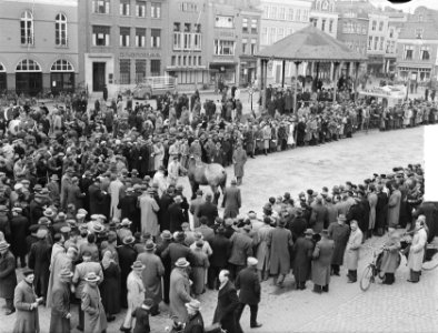 Goes hengstenkeuring, Bestanddeelnr 904-4373