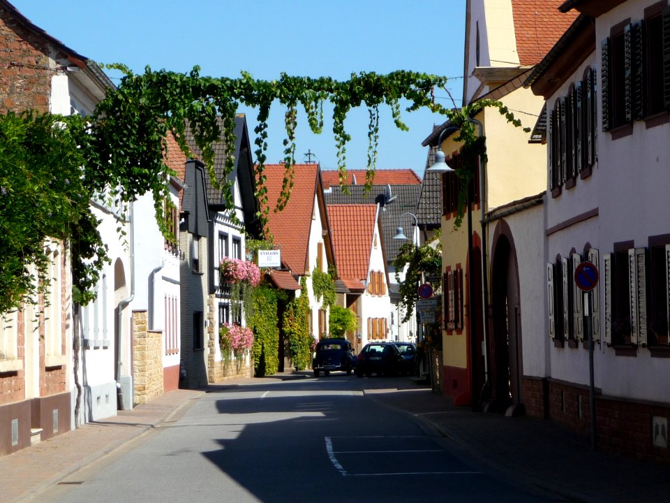 Goennheim OD 01