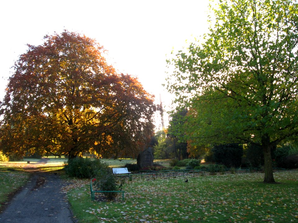 Goethe-park 1