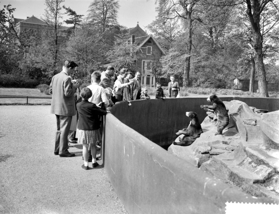 Goedkope dag in Artis, drukte bij de beren, Bestanddeelnr 910-3499