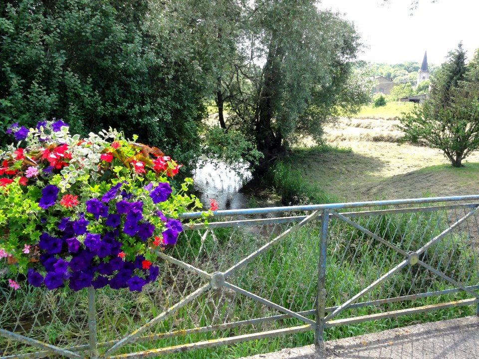 Gogney (M-et-M) ruisseau (02)