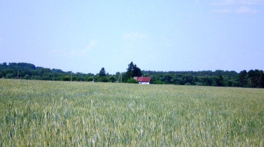 Gojus, Kėdainių raj