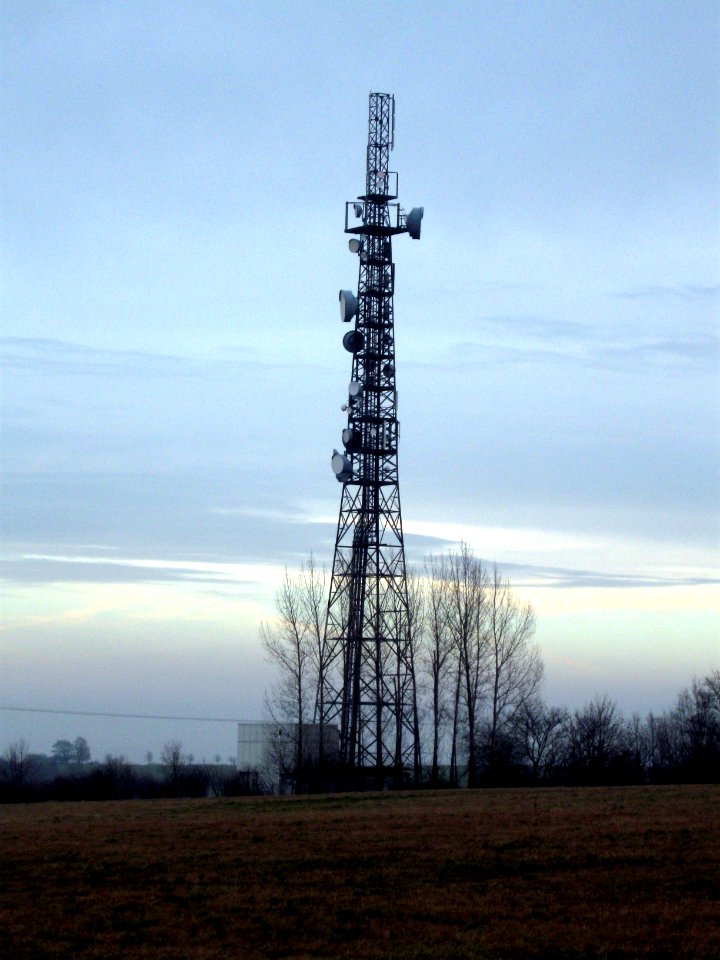 Gohlig Goldene Höhe Mobilfunkturm I WP