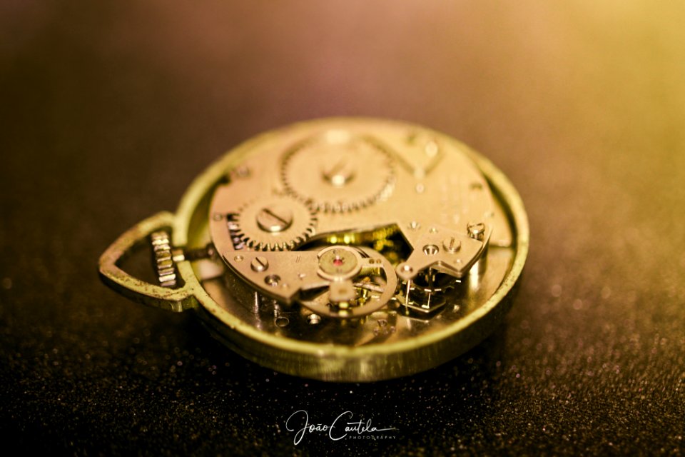 Gold Age (217078021)