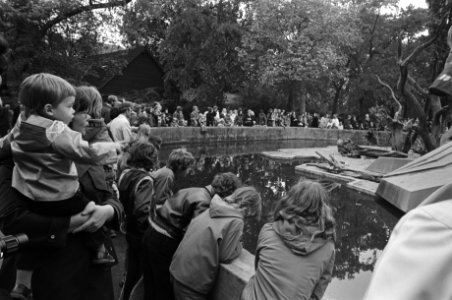 Goedkope dag in Artis, grote drukte bij de apenrots, Bestanddeelnr 928-6069