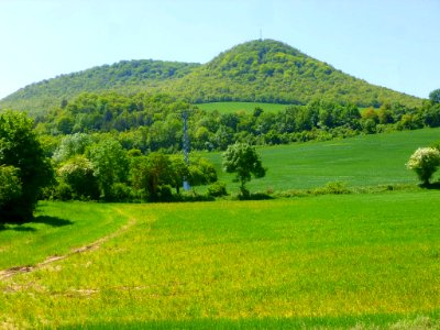 Gomecha 05
