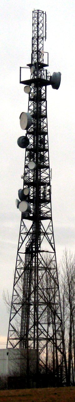 Gohlig Goldene Höhe Mobilfunkturm WP