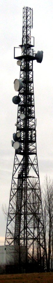 Gohlig Goldene Höhe Mobilfunkturm WP