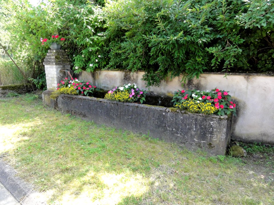Gogney (M-et-M) fontaine A
