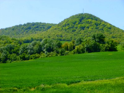 Gomecha 06