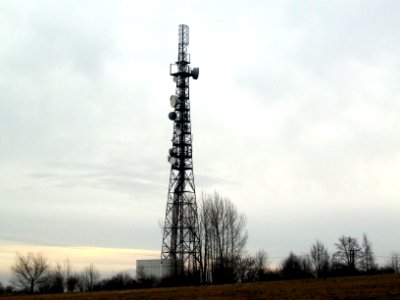 Gohlig Goldene Höhe Mobilfunkturm b