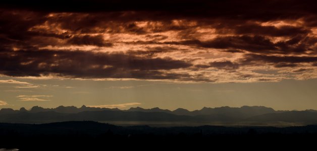 Good Morning (155561973)
