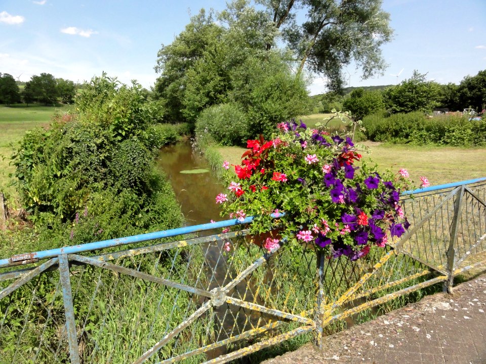 Gogney (M-et-M) ruisseau (01)